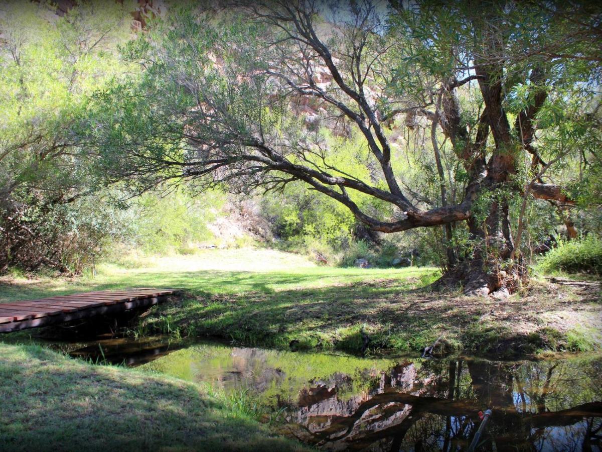 Lylius Cottage And Campsites Clanwilliam Εξωτερικό φωτογραφία